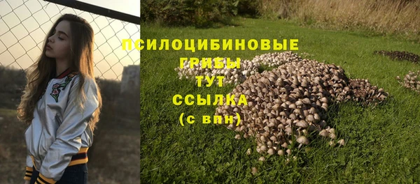 хмурый Лагань